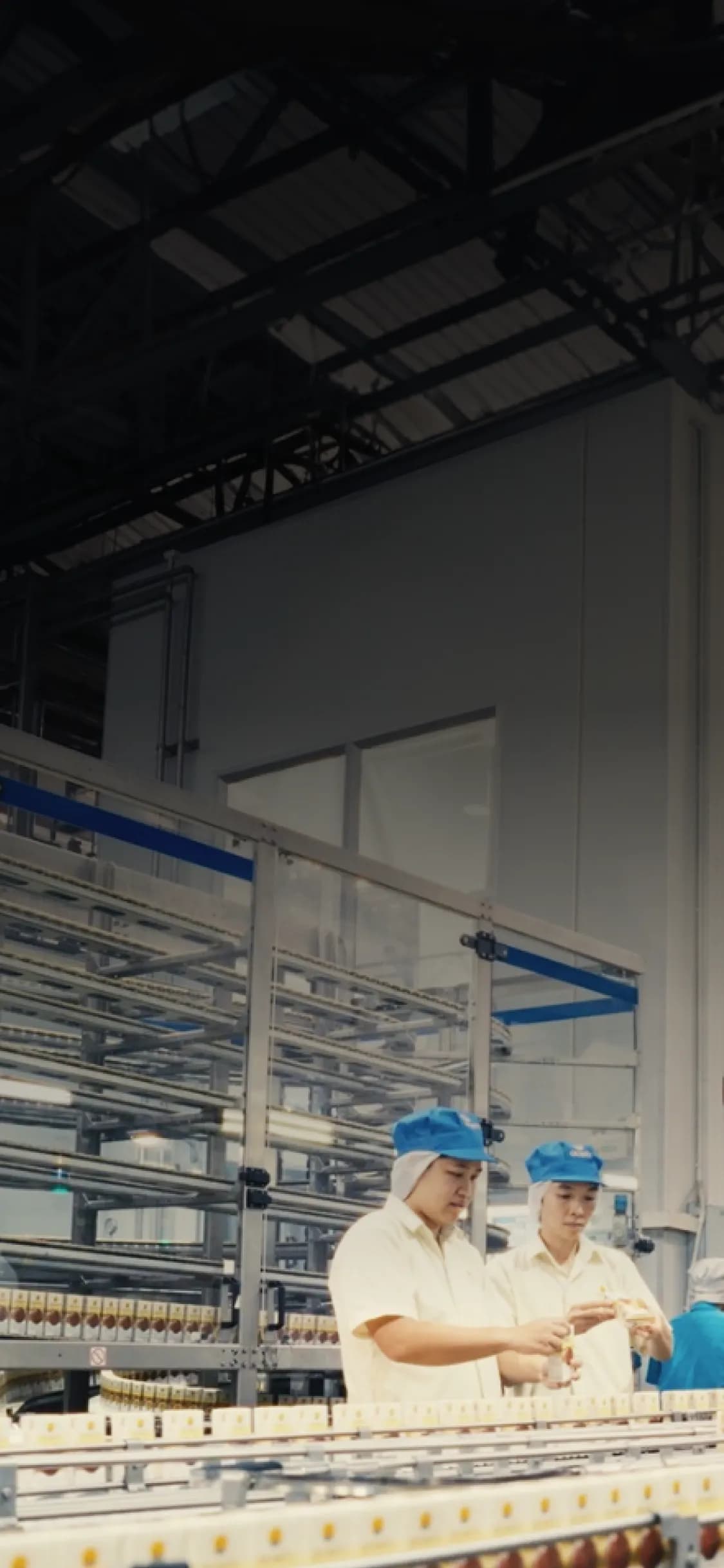 OEM Services